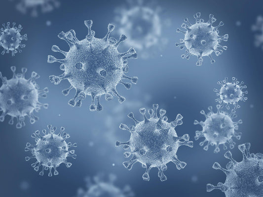 How Does Your Immune System Function? - NHDdirect