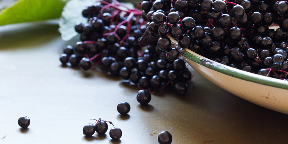 Oh, so very elderberry: the berry with a long tradition of wellness.
