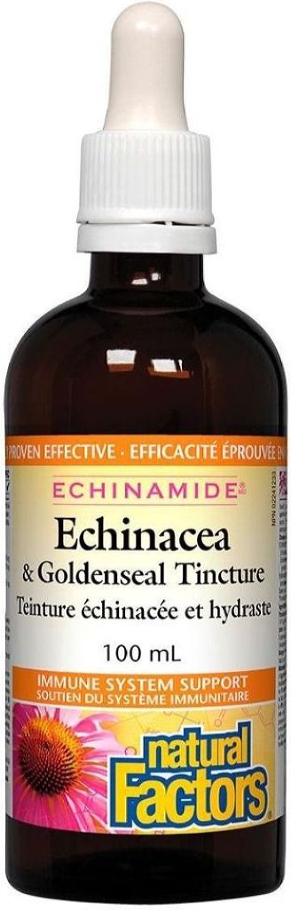 NATURAL FACTORS Echinacea Goldenseal  (100 ml)