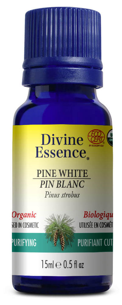 DIVINE ESSENCE Pine - White (Organic - 15 ml)